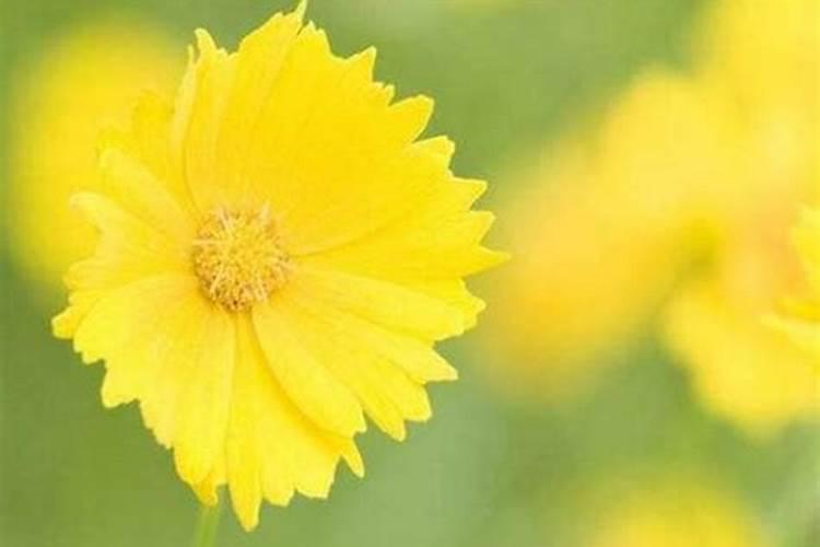 梦见死人又复活还笑着说话