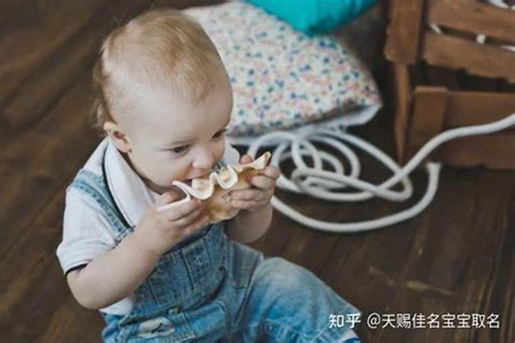 男孩取名虎年宝宝单字