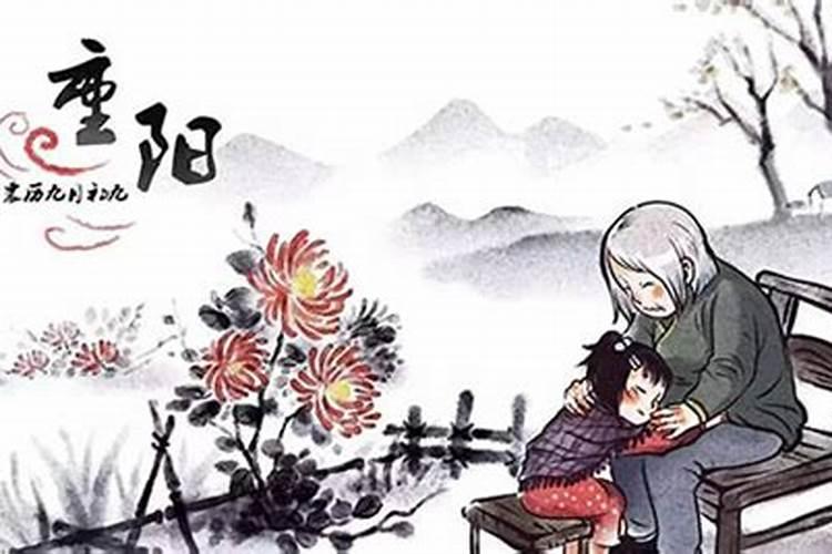 重阳节都能干哪些事情？