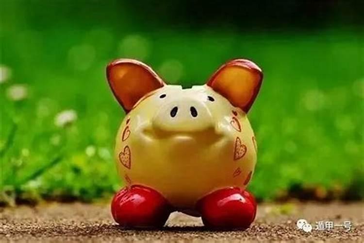 属猪生肖下半年运势