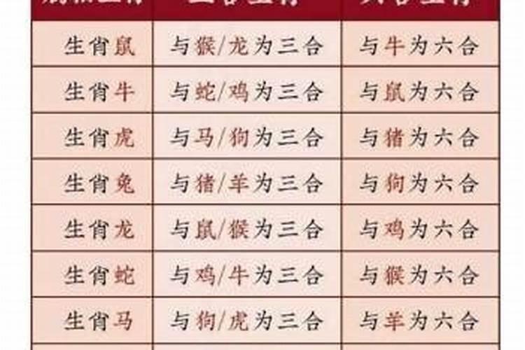 属蛇人跟哪些属相婚配？