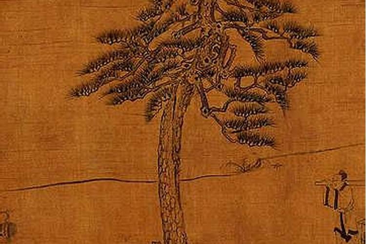 梦见哥哥家生了个女儿