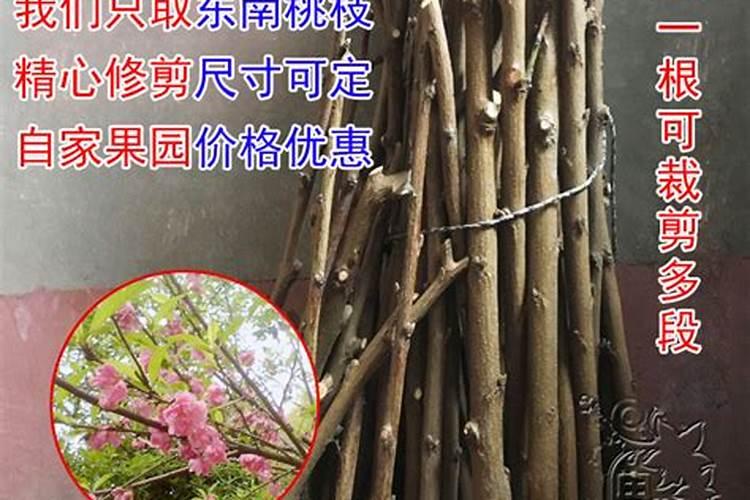 做法事要苹果枝和桃树枝