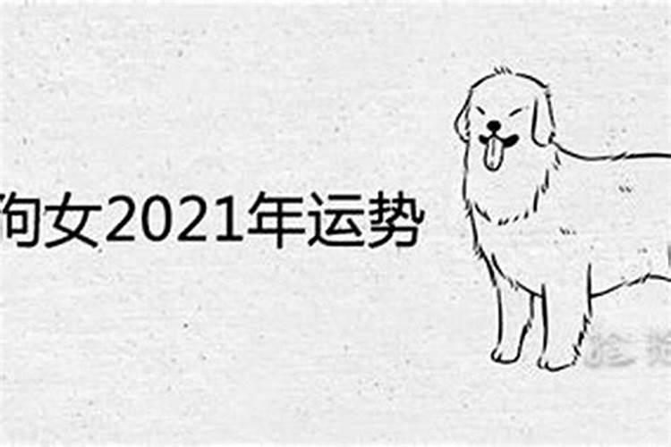 1982年的狗2026年运程如何？