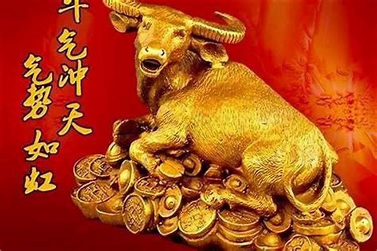 本命年可以结婚吗属牛和属牛？