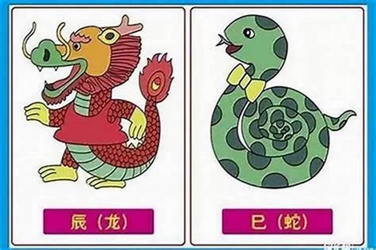 属虎的跟属蛇的合婚吗？