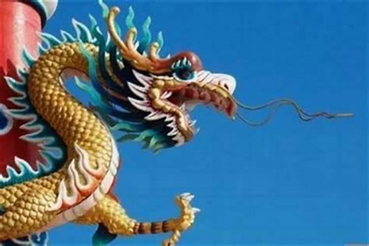 属龙跟属什么合婚？