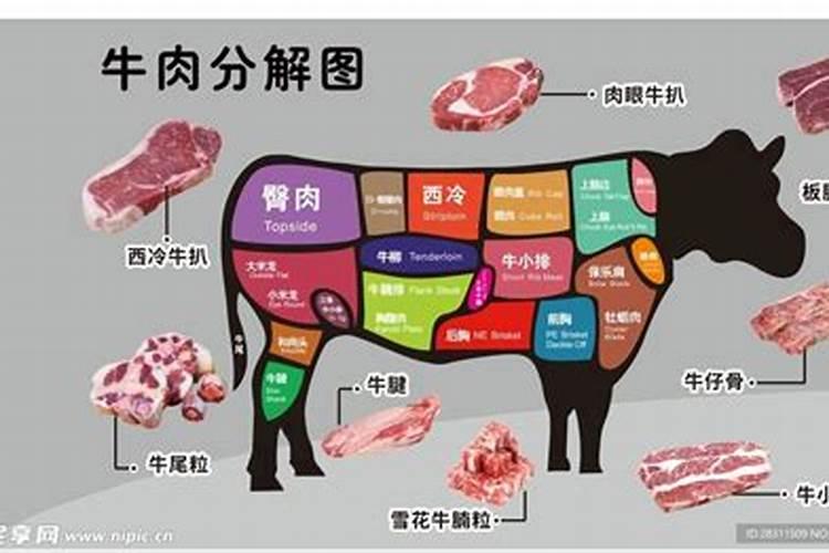 梦见牛死了分割牛肉