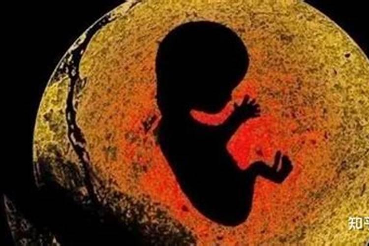 堕胎婴灵超度需要什么？