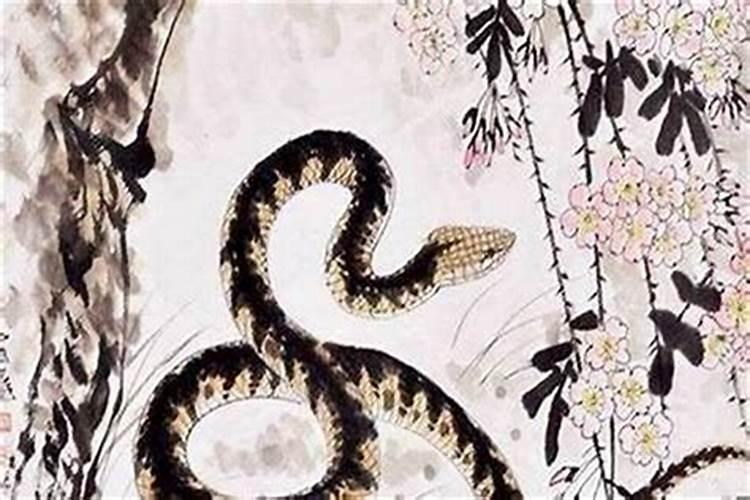 生辰八字有三蛇好吗？