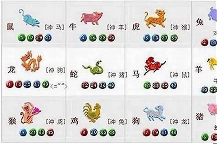 属老虎和属兔子八字合不合