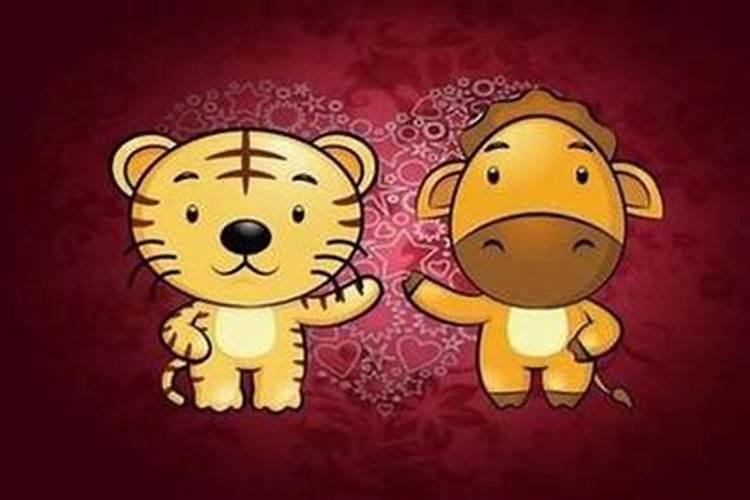 86年男人属虎一生运程