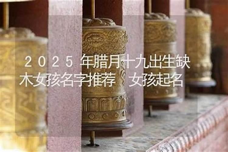 女孩腊月19出生