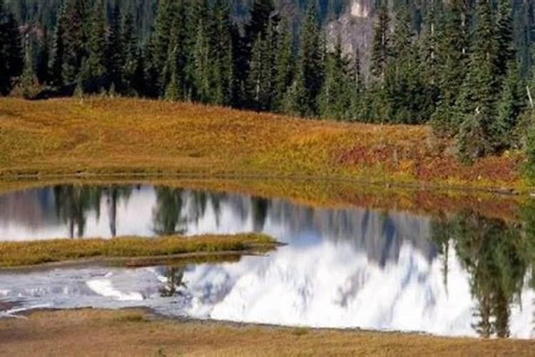 7月份属牛的运势如何？