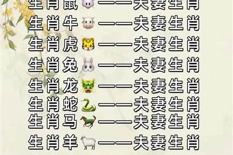 属兔男和属牛女合婚吗？