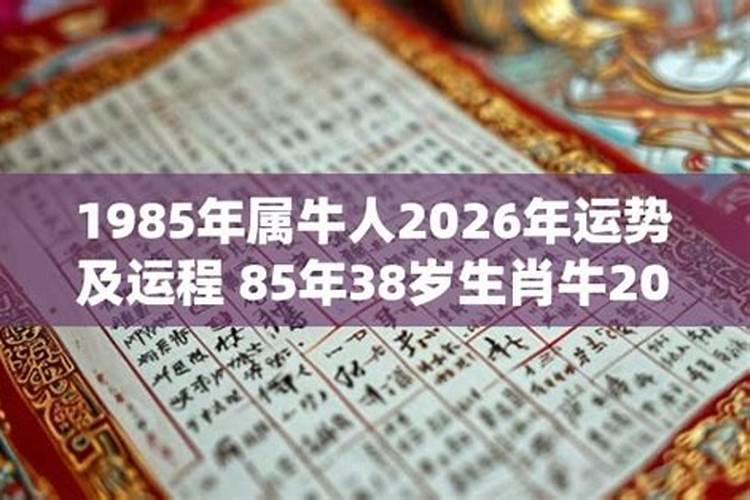 1985年属牛人在2026年运程