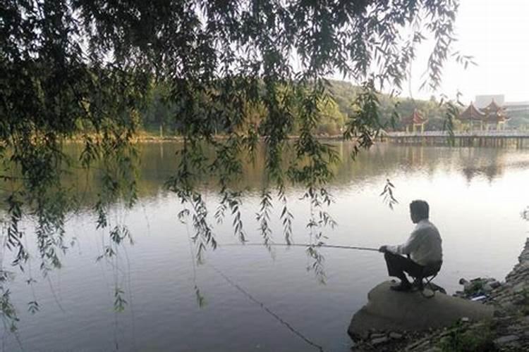 梦见钓上来一条鱼是什么意思？