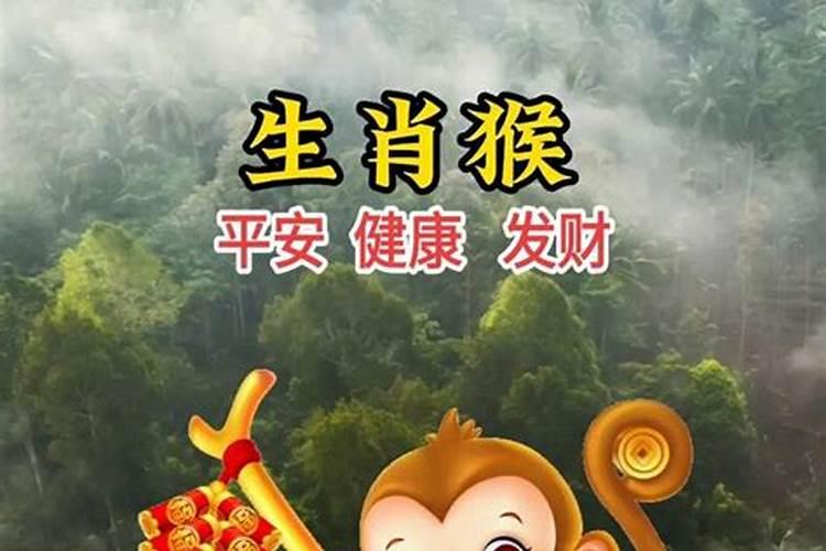 属猴68年生2026年运程如何？