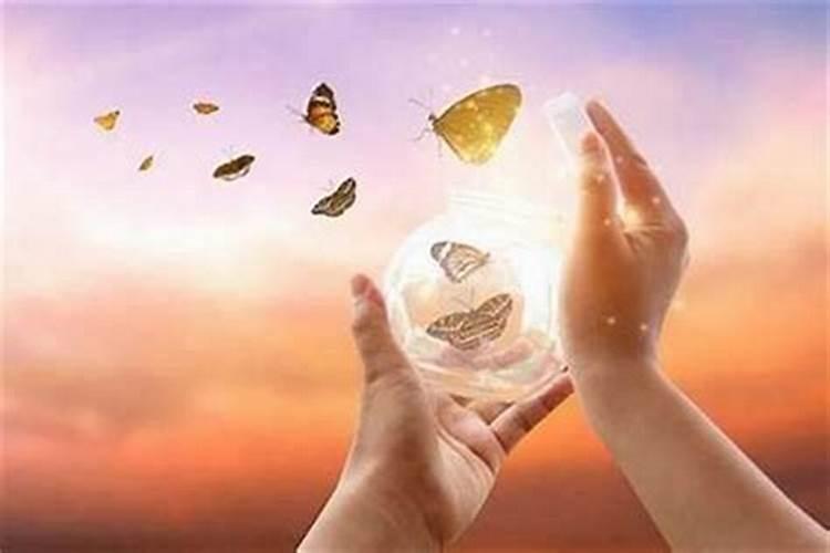 梦见老板吃饭中突然死了