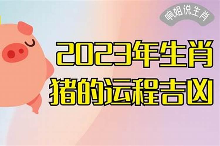 27年猪的运程如何？