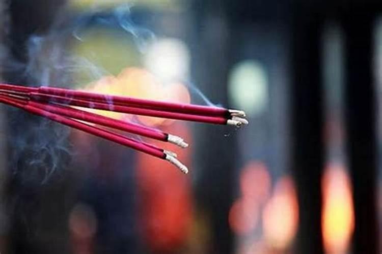 农历十月初一能种啥花呢？