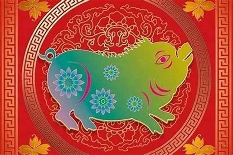 猪年本命什么运势？