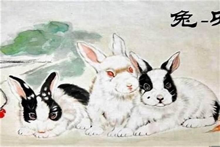 值太岁是什么意思属兔？