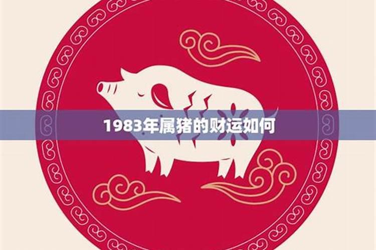 1983属猪男2026年运势如何？