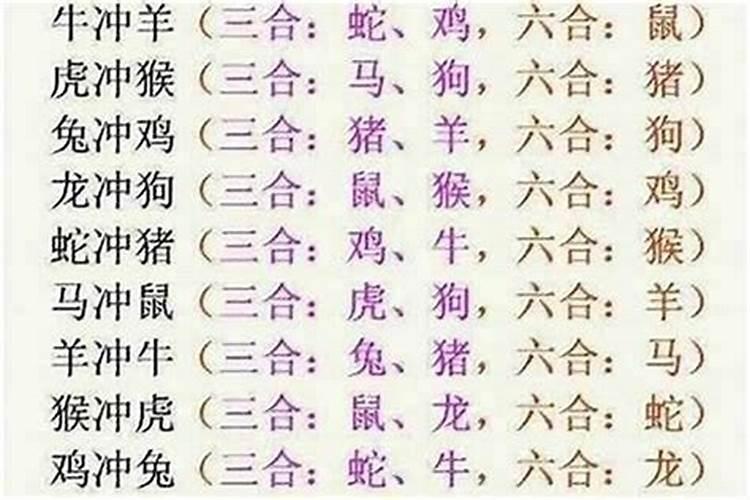 八字不合分两地是什么动物？