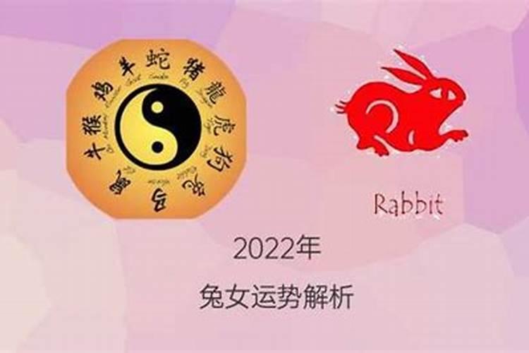 属兔的1963年出生2026年运程