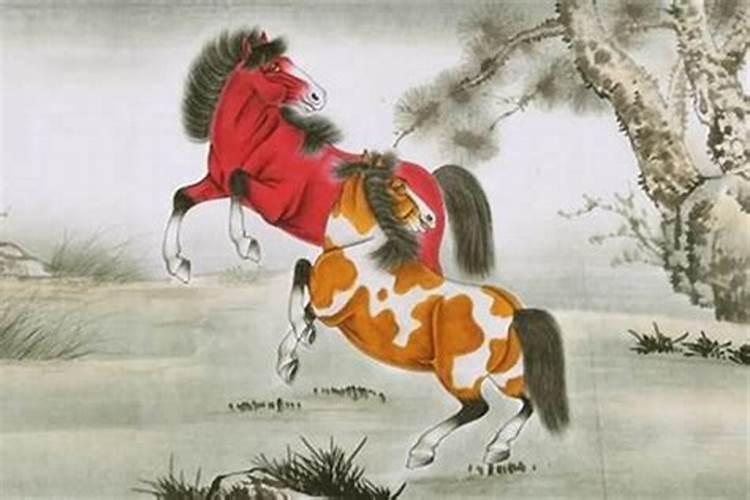 属马人出生时辰运势