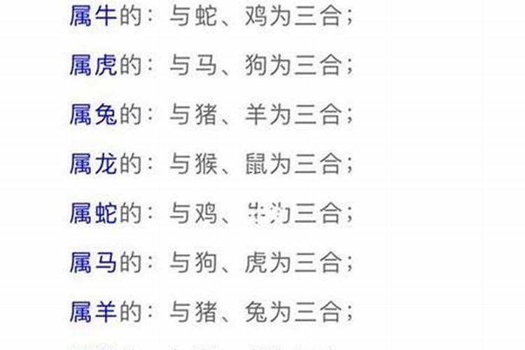 兔和羊的八字合吗？