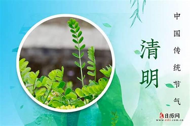 清明节哪天生日？
