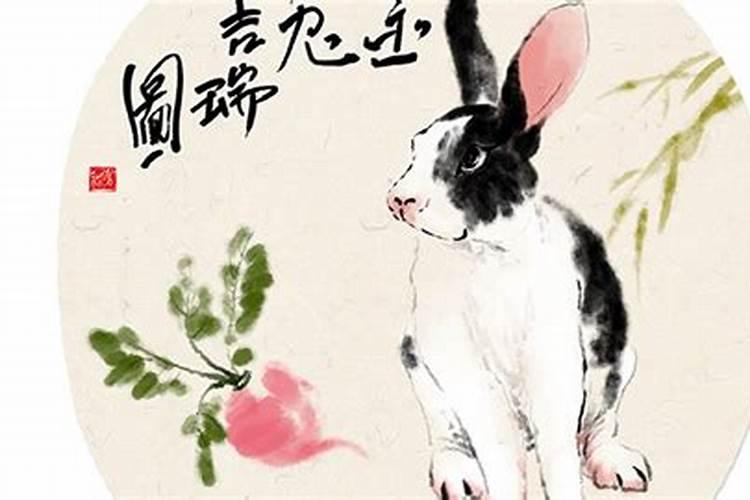 十月初一上坟见兔子好不好？