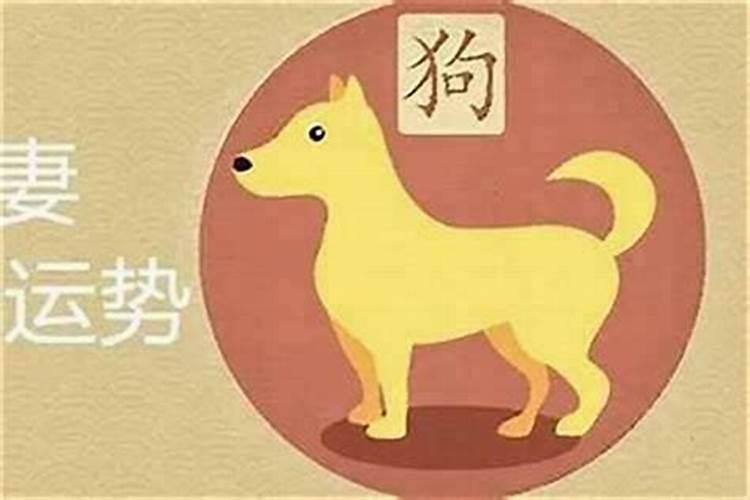 狗适合什么属相婚配？