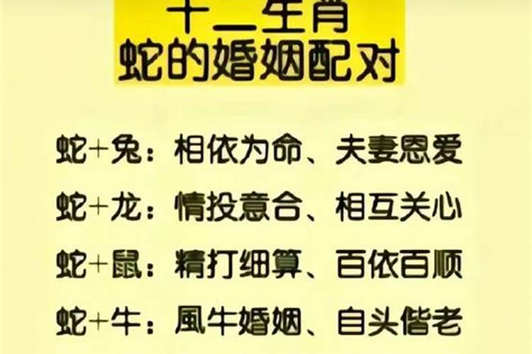 男属蛇和属蛇合婚吗？