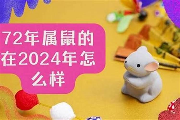 72年生的鼠在2026年的运程