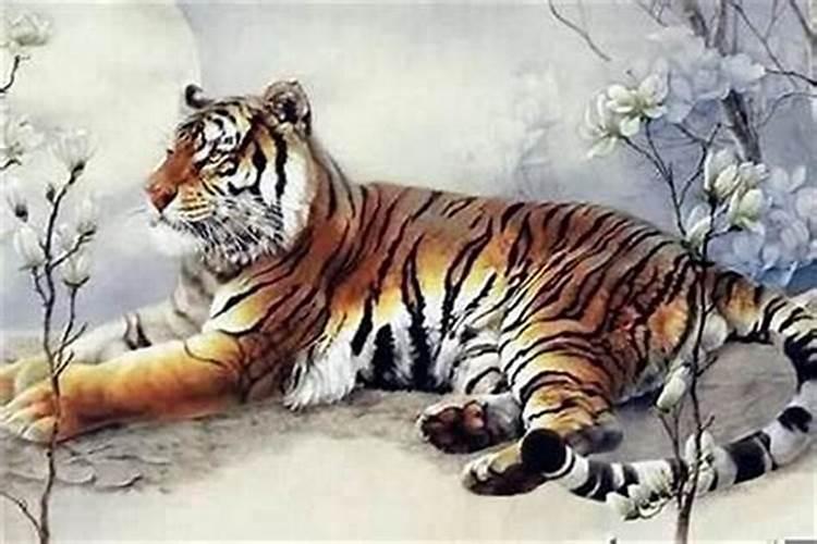 属虎在本命年生孩子好不好？