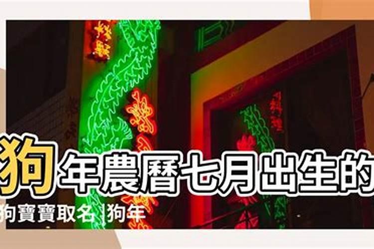 七月十五的出生的狗