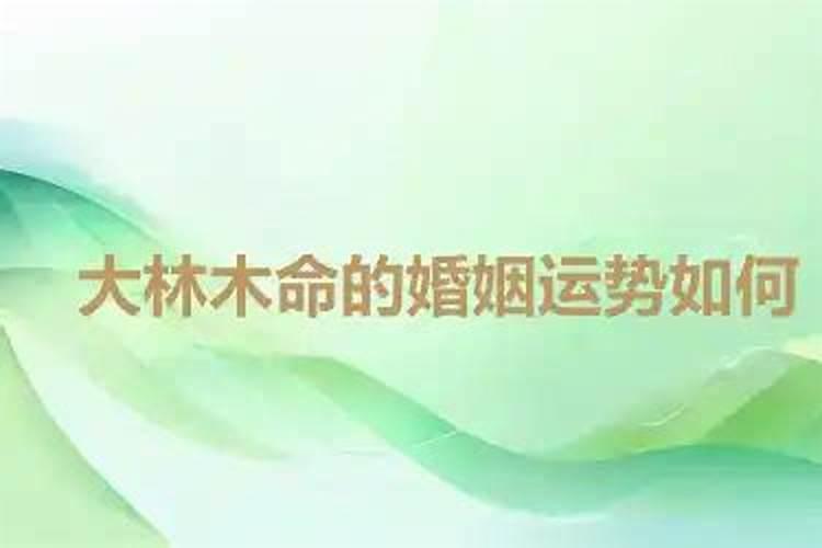 大林木女命2026年运势