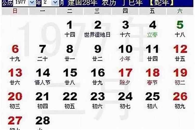 1977年农历五月出生的运程如