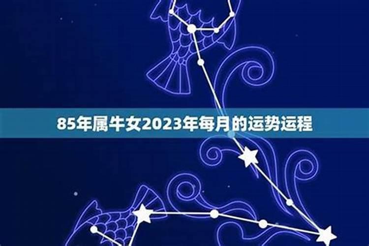 85年的今年感情运程