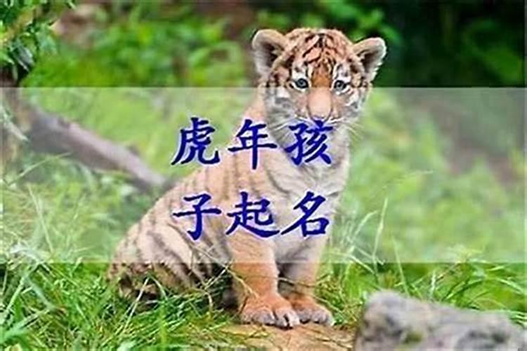 虎正月初二出生