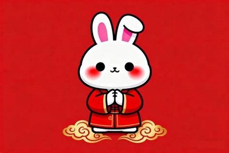 属兔今年多大岁数2026？