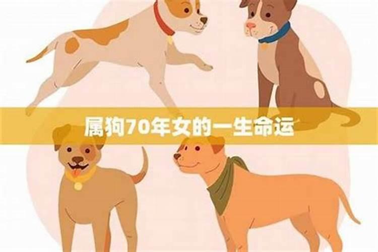 狗年2026年的运势怎么样？