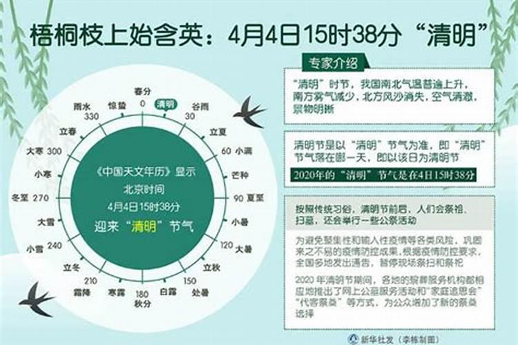今年的清明节是几点几分开始？