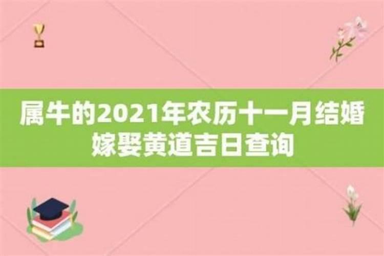 属牛本命年结婚的日子是几月？