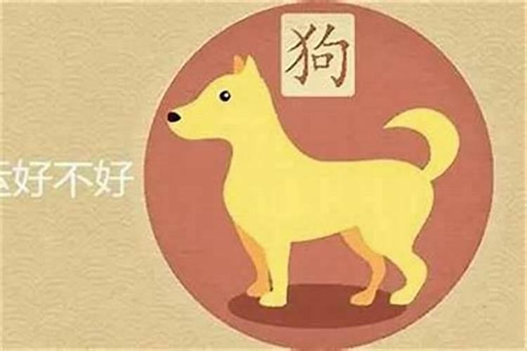 1994属狗男的一生运程