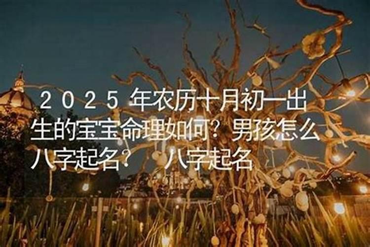 阴历十月初一出生宝宝名字