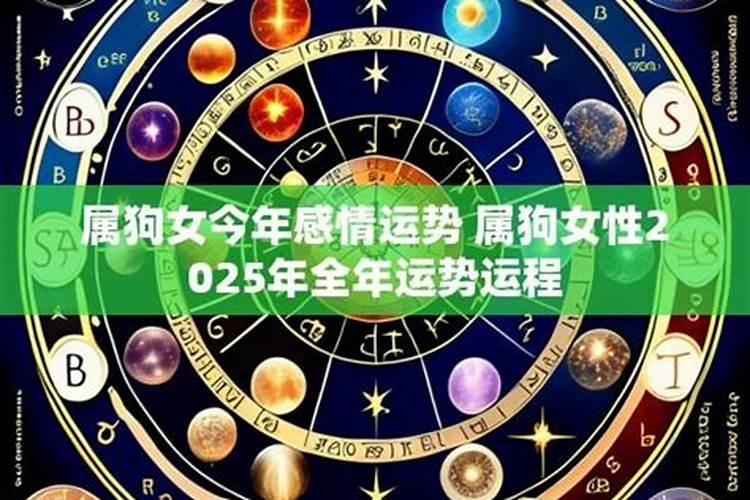 属狗的今年运势和感情